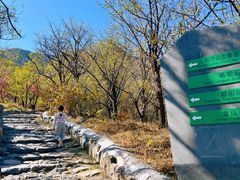 -阳台山自然风景区