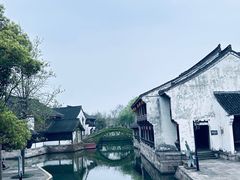 -鲁镇
