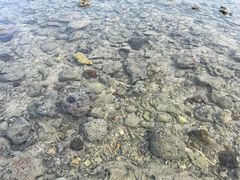 -三亚西岛海洋文化旅游区