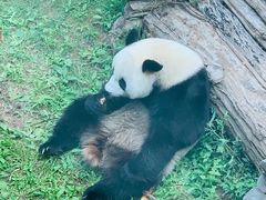 -大连森林动物园