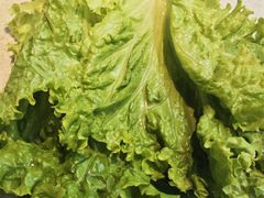 -丰茂烤串(五道口店)