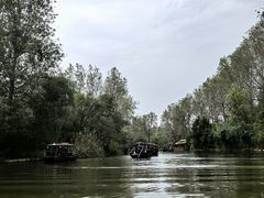 -溱湖国家湿地公园