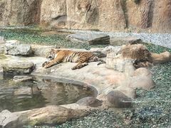 -北京野生动物园