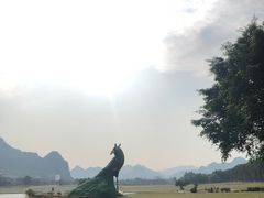 -南宁花花大世界景区