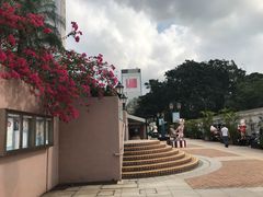 -九龙公园