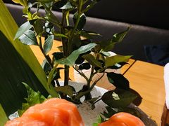 三文鱼腩手握寿司-渔寿司·日本料理(艾尚天地店)