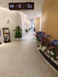 -天津伊美尔医疗整形美容专科医院