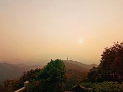 -梧桐山风景名胜区