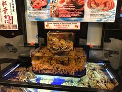 -蟹道乐(道顿堀本店)