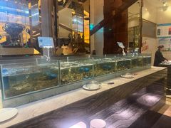 -盛宴标帜西餐厅龙虾.鲍鱼•牛排(重庆喜来登大酒店)