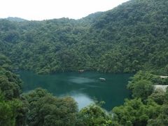 android_upload_pic-鼎湖山风景区