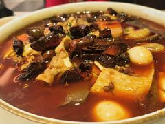 重庆毛血旺-渝信川菜(工体店)