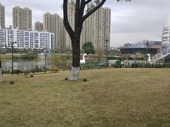 -宁波儿童公园(鄞州区)