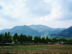 -四明山国家森林公园