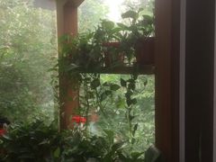 -金豆角砂锅焖面(安贞店)