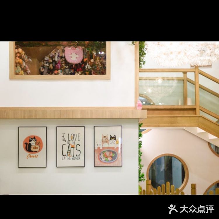 六一带宝宝必打卡去处‖宠物主题亲子体验馆