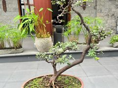 -聚福宝合苑食府(南头镇店)