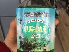 -龙大花卉苗木市场