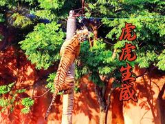 -无锡动物园·太湖欢乐园