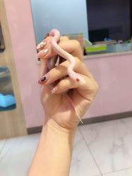 -Moni星球萌宠·小马宝莉·灵蛇·高端高阶全萌宠互动体验俱乐部(红豆国际广场店)