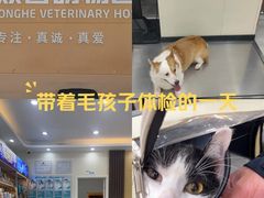 -德元·美联众合24小时动物医院(总院)