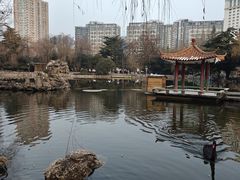 -西苑公园