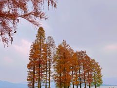 -四明湖