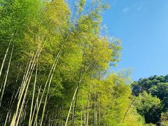-五泄景区
