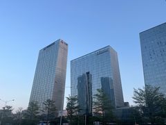 -大中华希尔顿酒店-念自助餐·嗨啤·小龙虾