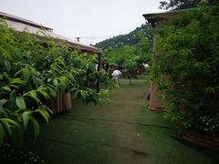 -玫瑰庄园·自助烧烤·烤全羊·团建拓展(龙泉山店)