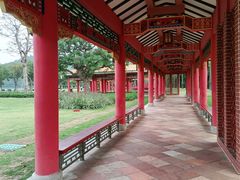 -顺峰山公园