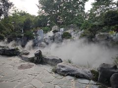 -东莞植物园