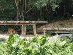 -广州长隆野生动物世界