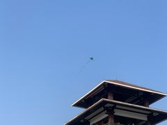 -大湾区中央湿地公园