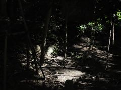 -来宫神社