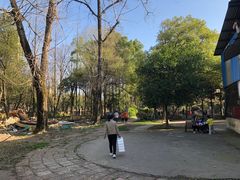 -洪都公园
