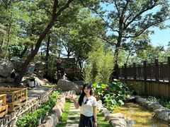 -沂蒙山旅游区云蒙景区(蒙山国家森林公园)