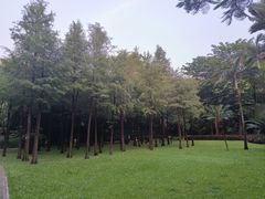 -晓港公园