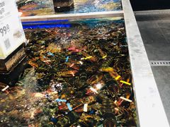 水产区-盒马鲜生(红莲店)
