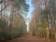 -上海海湾国家森林公园