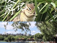 -长春市南湖公园