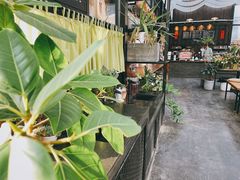 -北马山庄植趣咖啡