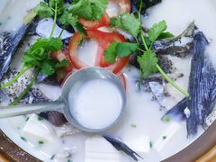 -全乐鱼馆·淳牌有机鱼直营店