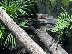 -石家庄市动物园