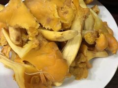 -菌之家·专业纯野生菌火锅·特色炒菌