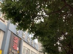 -棕榈MALL