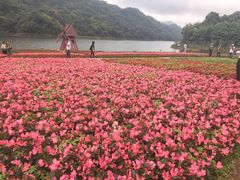 -广州市石门国家森林公园
