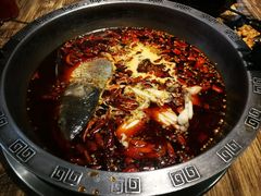 -销魂美蛙鱼头火锅(上海首店)