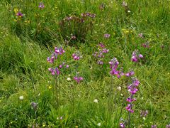 -迪庆藏族自治州博物馆