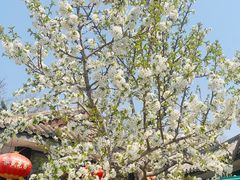 -元大都城垣遗址公园